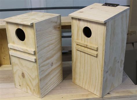 metal parrot nest boxes for sale|lorikeet nesting box plans.